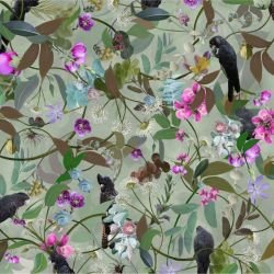 australian forest cacophony sage