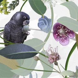 australian forest cacophony white detail