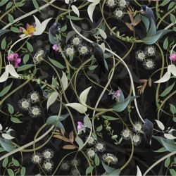 australian forest carnabys collective black velvet