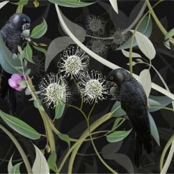 australian forest carnabys collective black velvet detail