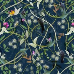 australian forest carnabys collective midnight