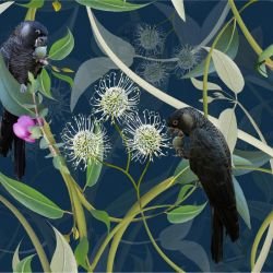 australian forest carnabys collective midnight detail