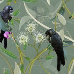 australian forest carnabys collective rainforest detail