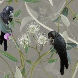 australian forest carnabys collective sand detail