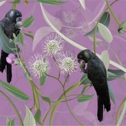 australian forest carnabys collective berry detail