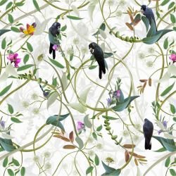 australian forest carnabys collective white