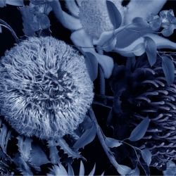 australian forest crimson and sage midnight detail