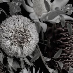 australian forest crimson and sage soft detail