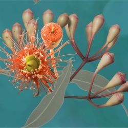 australian forest simple pleasures aqua detail