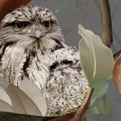 australian forest tawney love monument detail