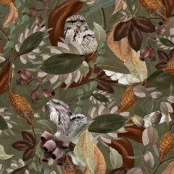 australian forest tawney love sage