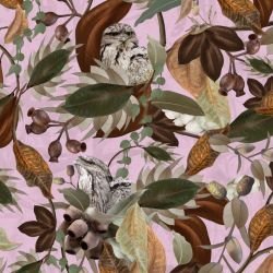 australian forest tawney love soft pink