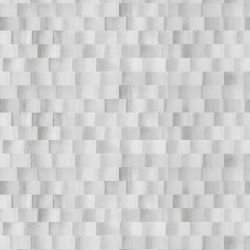 pacific banana palm rockpool