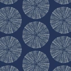 pacific urchin navy blue ground with driftwood