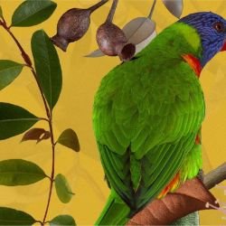 australian forest amidst the gums gold detail