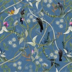 australian forest carnabys collective dusky blue