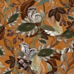 australian forest tawney love terracotta