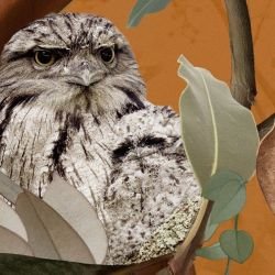 australian forest tawney love terracotta detail