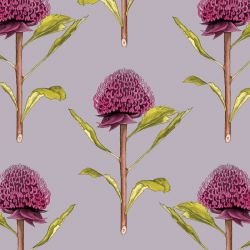 native waltz botanicalwaratah purpletop
