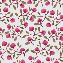 native waltz tossedwaratah blush