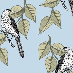 native waltz wattlebird hydrangea