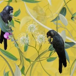 australian forest carnabys collective gold detail 