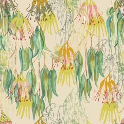 bushland blooms australian bush mistletoe creme