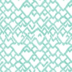 pacific cone shell bora bora