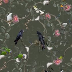 australian forest birdland mural dark rainforest