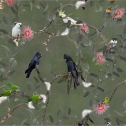 australian forest birdland mural light rainforest