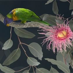 australian forest birdland mural midnight detail