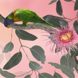 australian forest birdland mural soft pink detail