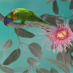 australian forest birdland mural teal detail