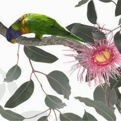 australian forest birdland mural white detail