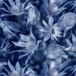 australian forest flannel fairies blue