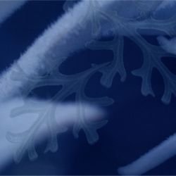 australian forest flannel fairies blue detail