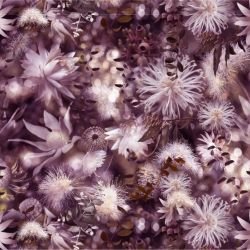 australian forest floral forest berry