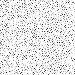 sarah ellison bw cheetah