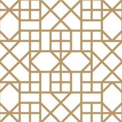 shimmer framework light gold look