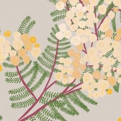 australian botanical wattle cream on taupe detail