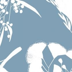 australian botanical wildflower shape serenityblue white detail