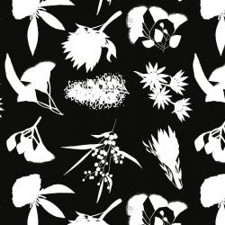 australian botanical wildflower shape white on black