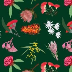 australian botanical wildflower walk bottlegreen