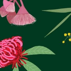 australian botanical wildflower walk bottlegreen detail