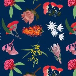 australian botanical wildflower walk brightnavy