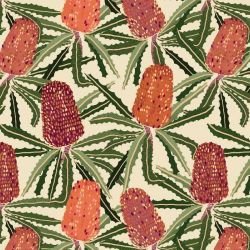 australian botanical banksia tangle natural