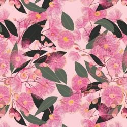australian botanical gum blossom pink on pink