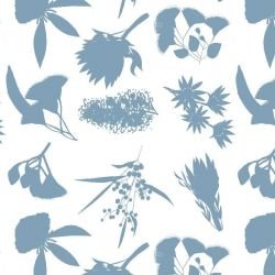 australian botanical wildflower shape white serenityblue