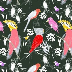 native fauna birdsong bright