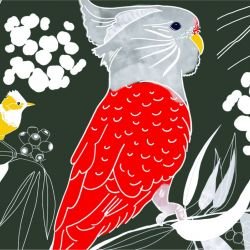 native fauna birdsong bright detail